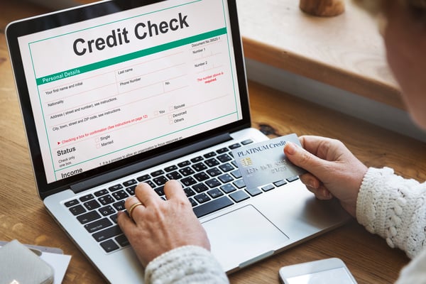 A person performing a credit check from their laptop